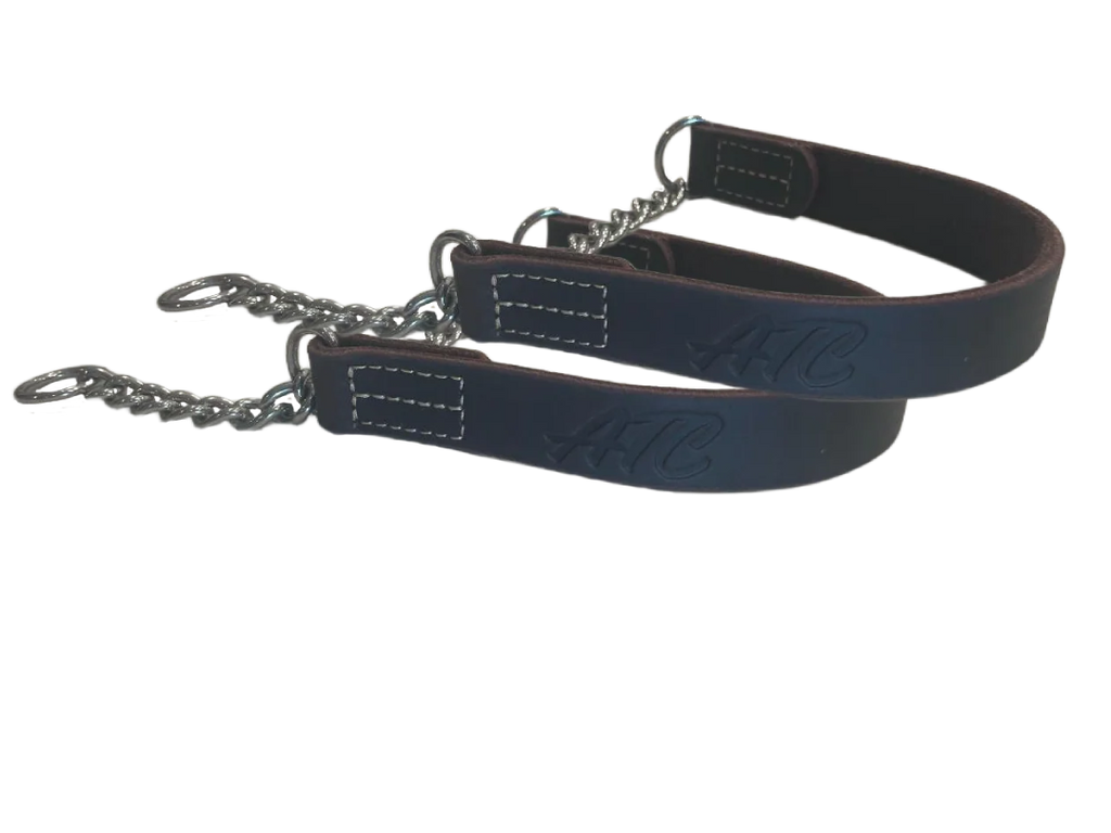 joel silvermans patented alternative training collar for all sizes of dogs including small dogs