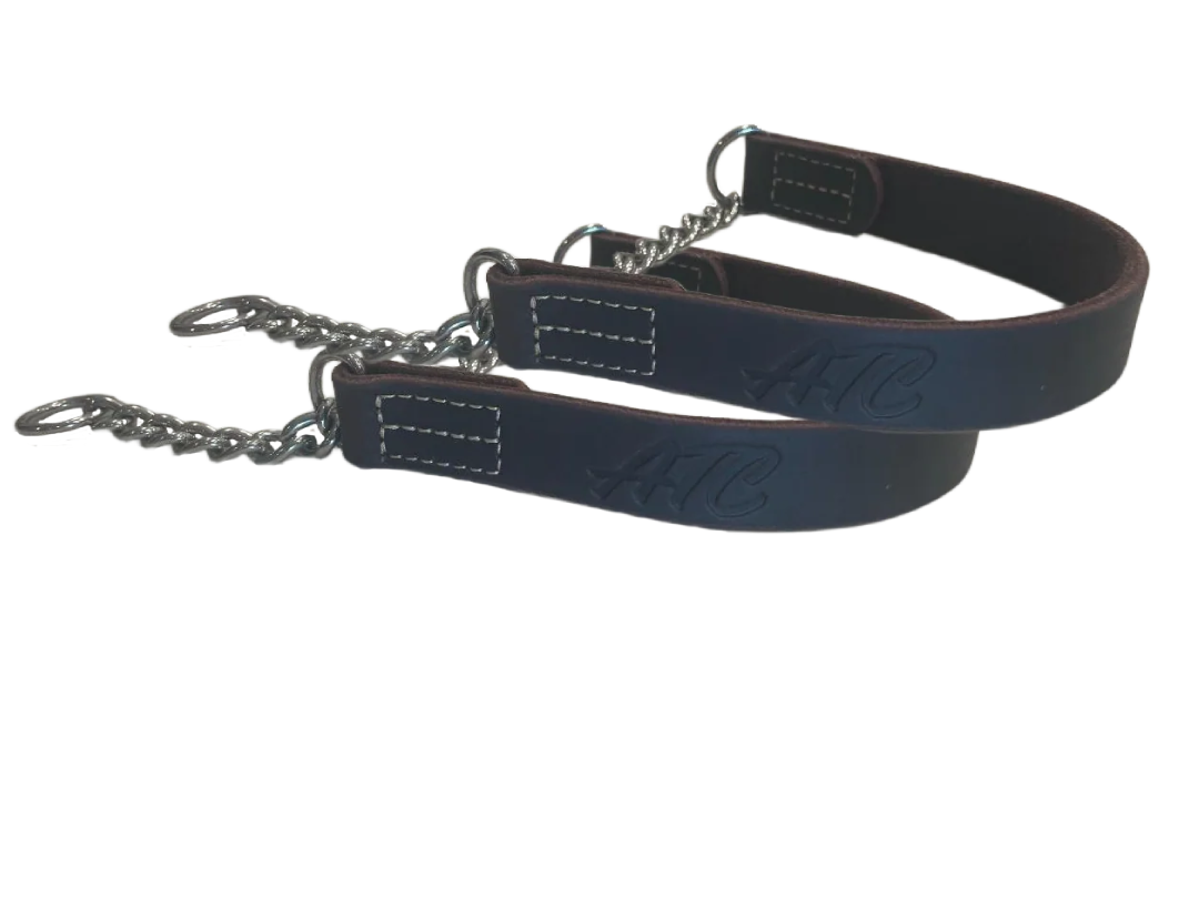 joel silvermans patented alternative training collar for all sizes of dogs including small dogs