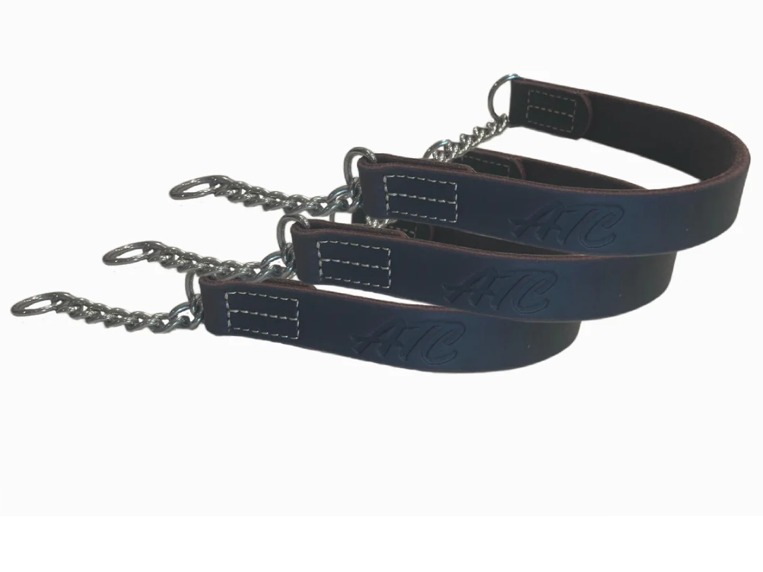 joel silvermans patented alternative training collar for all sizes of dogs