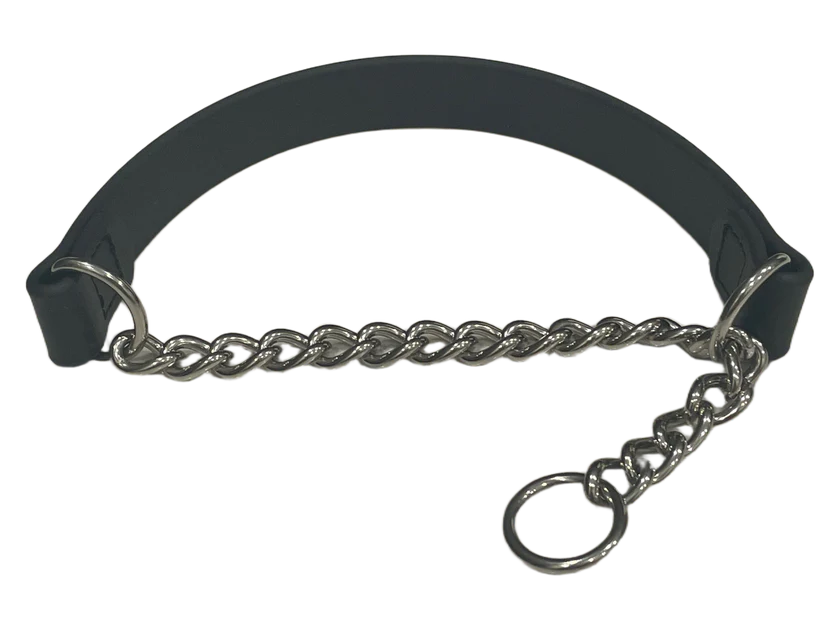 no-slip dog collar for training