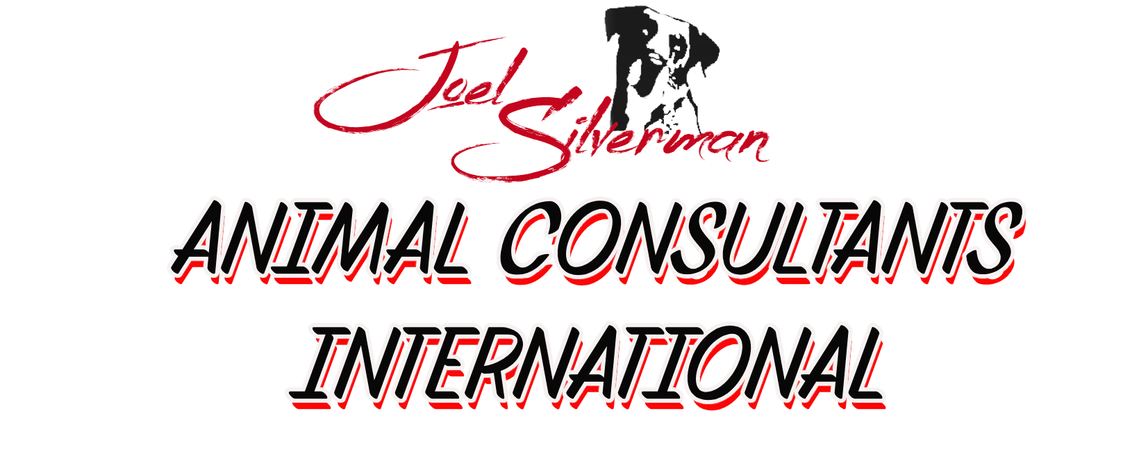 Over 30 years of expert dog supplying and training for national TV commercials, movies, and media. Serving NY, Atlanta, and the East Coast. 