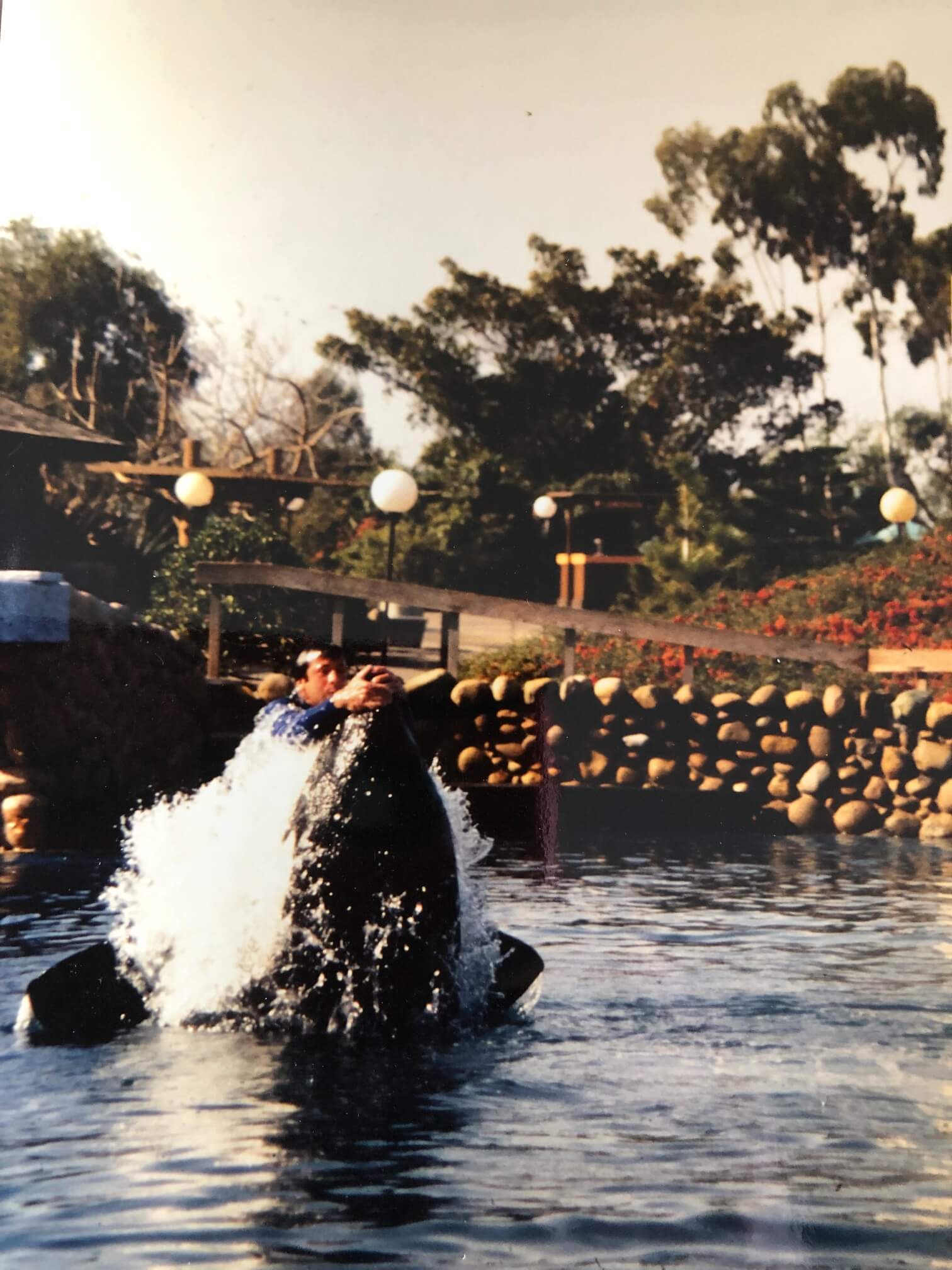 Dog Training For Film and TV Workshop in Fort Myers, Florida