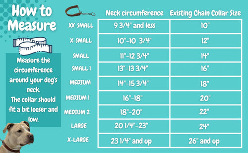 2 Collar Special - Your  Choice