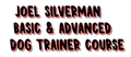 Joel Silverman's Basic/Advanced Behavior Dog Training Certification Course