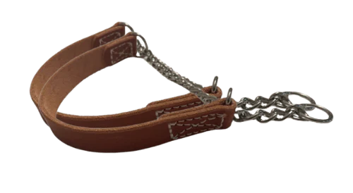 Joel Silvermans Leather Alternative Training Collar - ($55.00) 2 Collar Special - Your  Choice