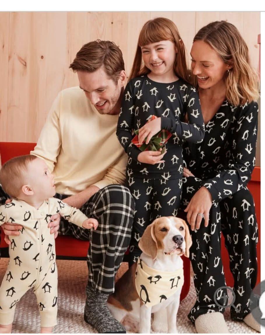 beagle trained to sit and stay with actors for commercial